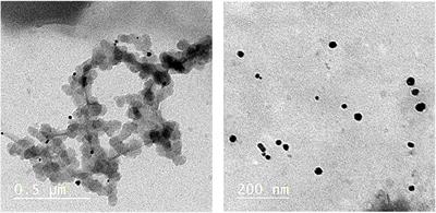 Comparative Effect of Commercially Available Nanoparticles on Soil Bacterial Community and “Botrytis fabae” Caused Brown Spot: In vitro and in vivo Experiment